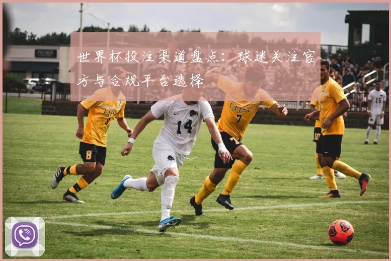 世界杯投注渠道盘点:球迷关注官方与合规平台选择