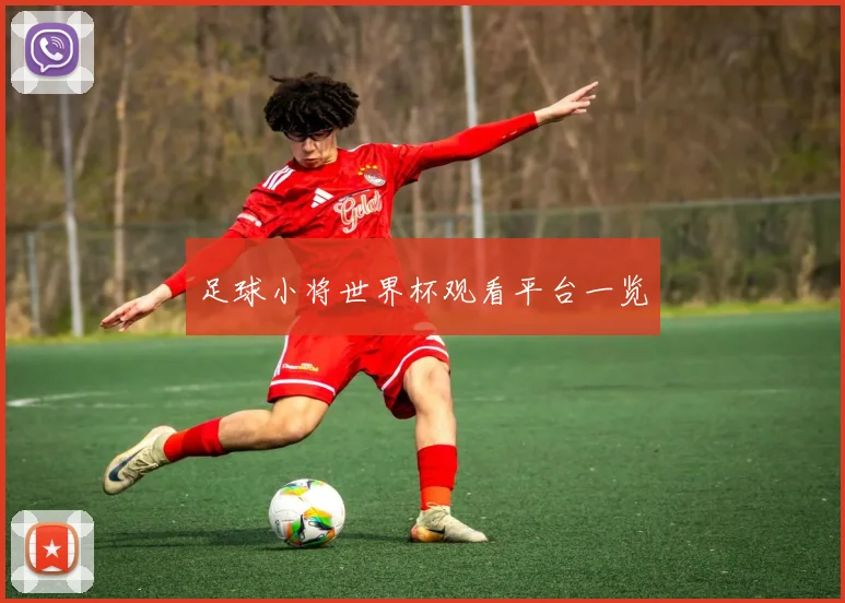 足球小将世界杯观看平台一览